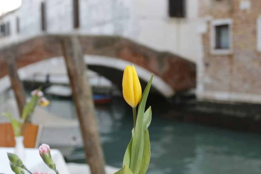 Venise quartier de cannaregio culture et loisir visite guidé à pied