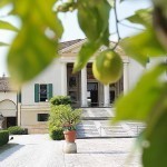 Villa Emo was built, most probably, during the years 1557-1560, when Palladio was accepted by the big aristocratic venetian families