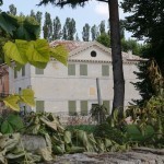 Villa Zeno by Palladio, Sightseeing in Italy, day tour, excursion in Veneto region.