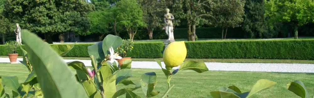 The palladian Villa Emo park, Veneto culture and leisure 