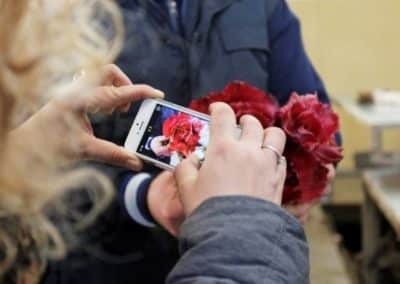 Chicorée rose de Gorizia, IGP du territoir du fleuve sile, en province de trévise