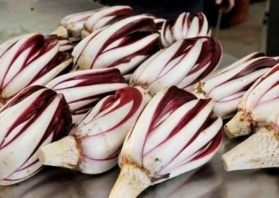 Treviso PGI red chicory