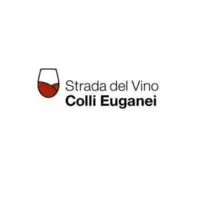 Euganean hill wine route volcanic origin, is a succession of vineyards, villages and medieval castles. Like also the patrician villas that date back to the Renaissance. About the wine, one type of yellow Muscat has led to the recognition of DOCG Colli Euganei Fior d’Arancio.