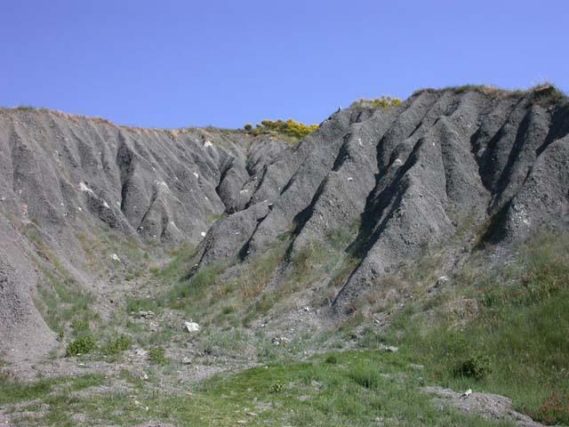 Gullies Emilia Romagna Apennine ridge, north Italy, phenomenon with intense superficial erosion. Operated by rains runoff on a stratification of clay
