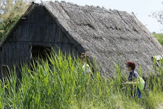 Po Delta hut birdwatching North Italy, along the coastline between Emilia Romagna and Veneto regions